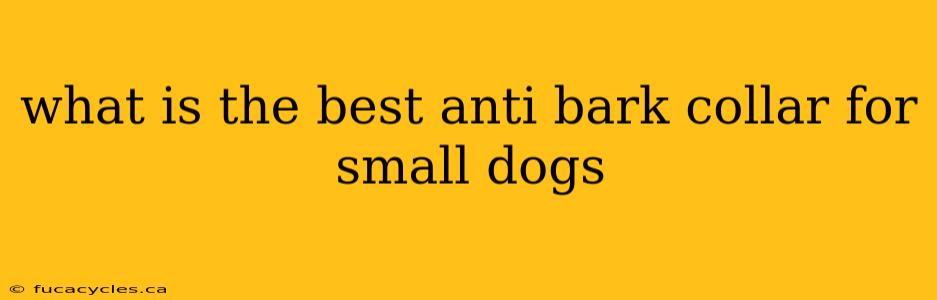 what is the best anti bark collar for small dogs