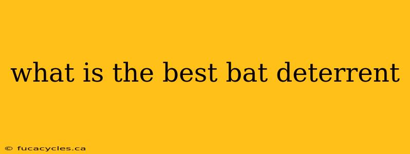 what is the best bat deterrent