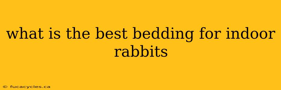 what is the best bedding for indoor rabbits