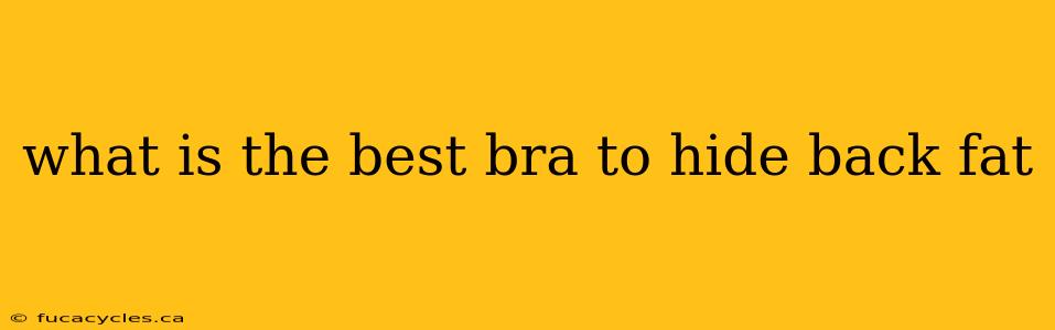 what is the best bra to hide back fat