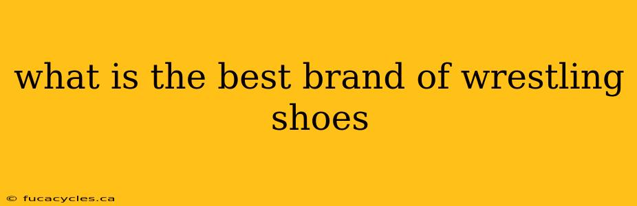 what is the best brand of wrestling shoes