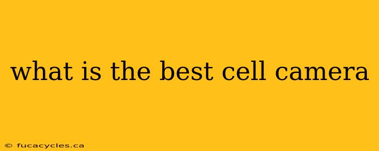 what is the best cell camera