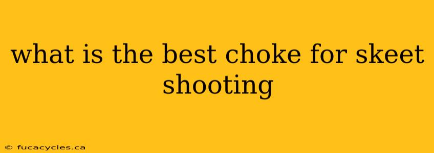 what is the best choke for skeet shooting