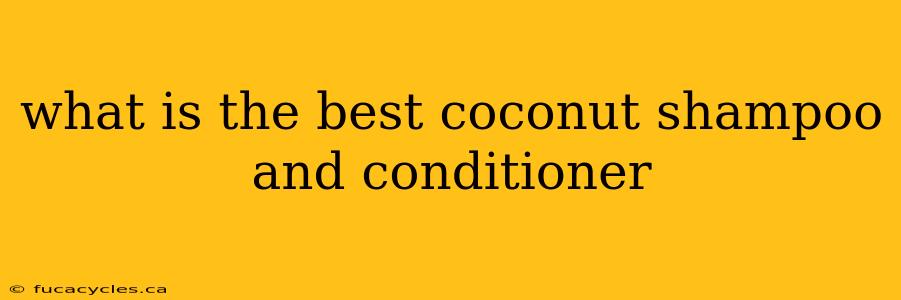 what is the best coconut shampoo and conditioner