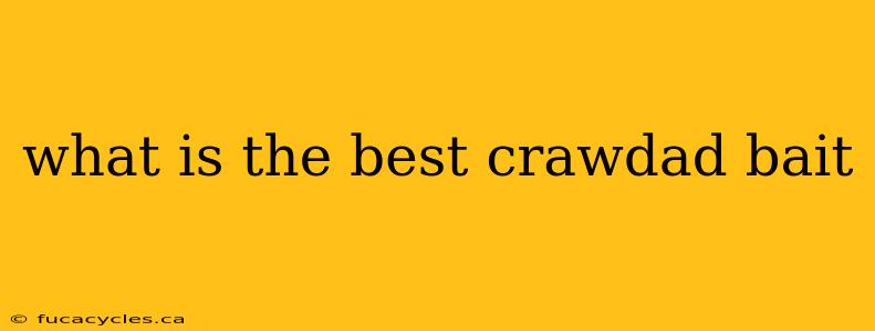 what is the best crawdad bait