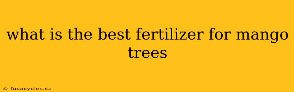 what is the best fertilizer for mango trees