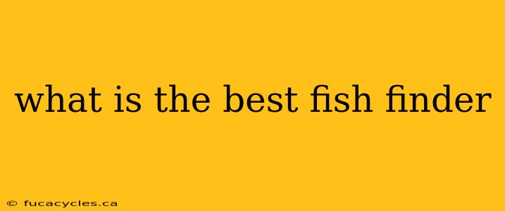 what is the best fish finder