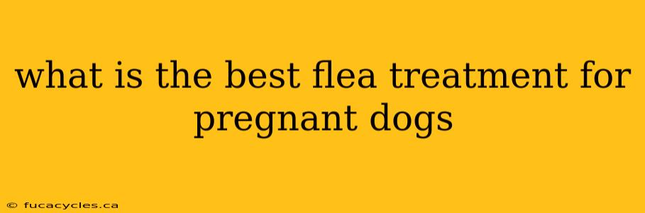 what is the best flea treatment for pregnant dogs