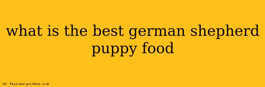 what is the best german shepherd puppy food