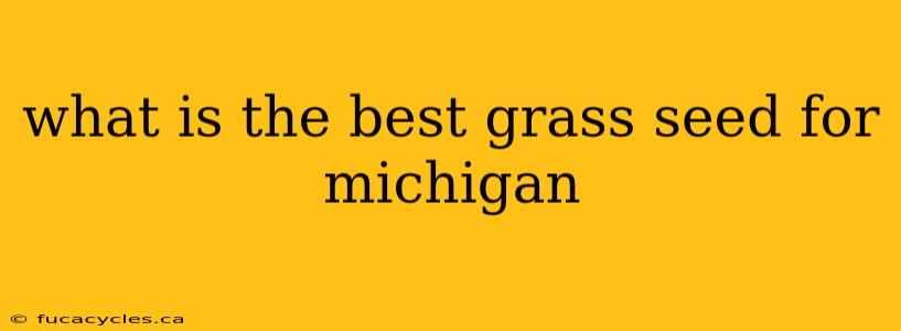 what is the best grass seed for michigan