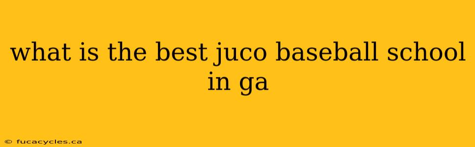 what is the best juco baseball school in ga