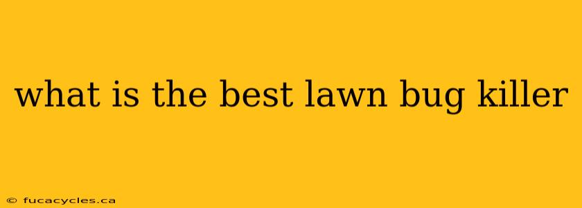 what is the best lawn bug killer