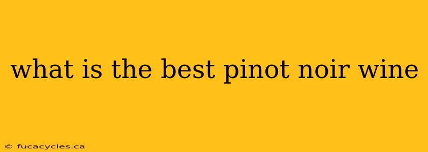 what is the best pinot noir wine