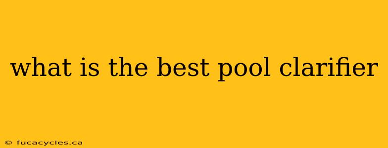 what is the best pool clarifier