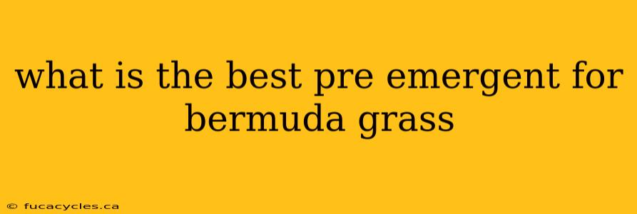 what is the best pre emergent for bermuda grass