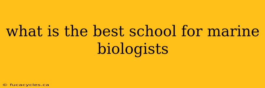 what is the best school for marine biologists