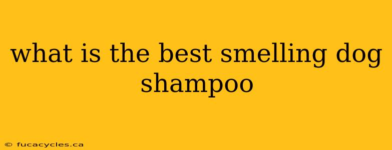 what is the best smelling dog shampoo