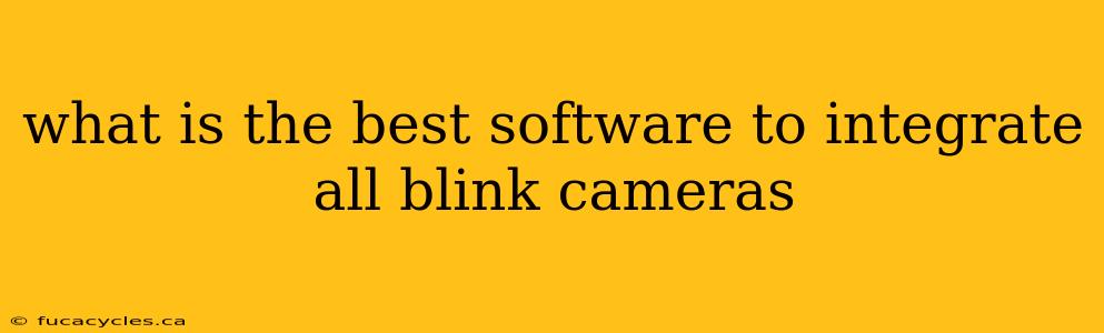 what is the best software to integrate all blink cameras