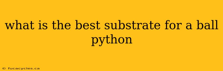 what is the best substrate for a ball python