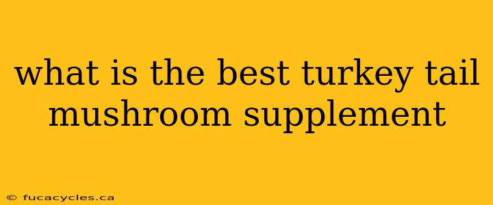 what is the best turkey tail mushroom supplement