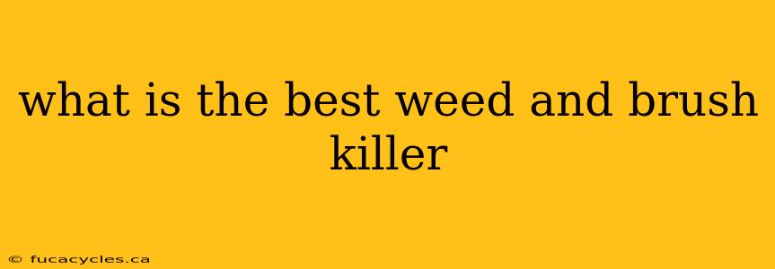 what is the best weed and brush killer