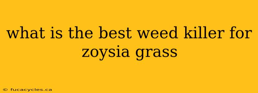 what is the best weed killer for zoysia grass