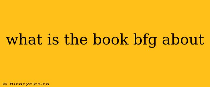 what is the book bfg about