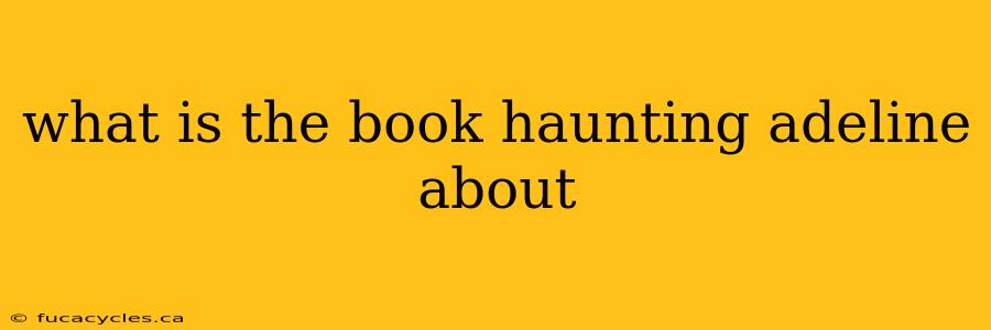 what is the book haunting adeline about