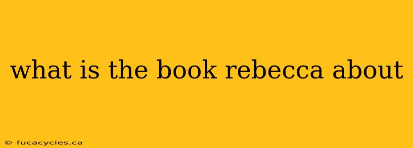 what is the book rebecca about