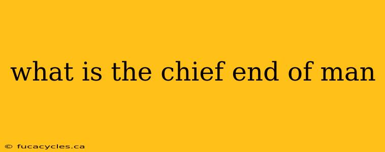 what is the chief end of man