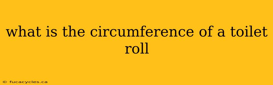 what is the circumference of a toilet roll