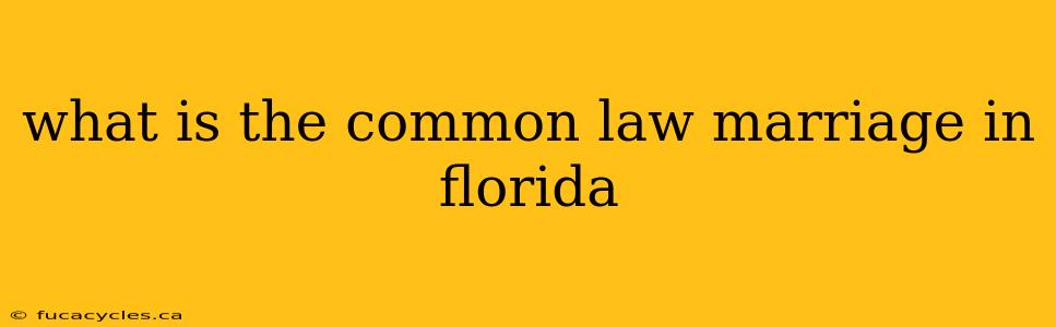 what is the common law marriage in florida