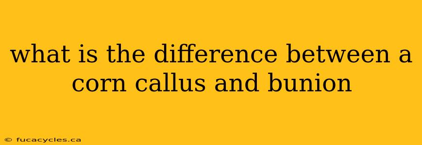 what is the difference between a corn callus and bunion