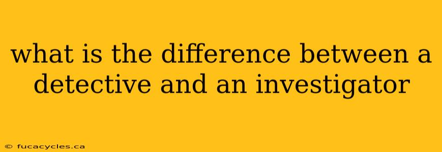 what is the difference between a detective and an investigator