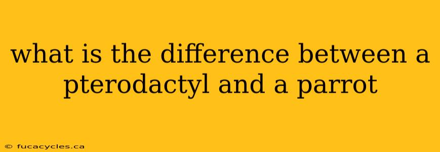 what is the difference between a pterodactyl and a parrot