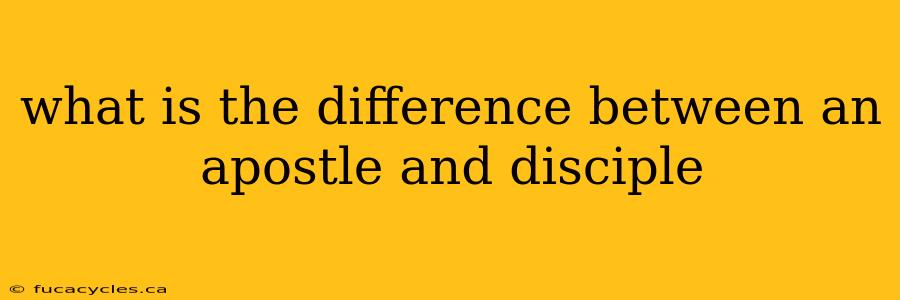 what is the difference between an apostle and disciple