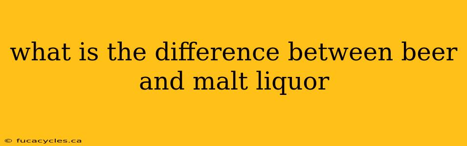 what is the difference between beer and malt liquor