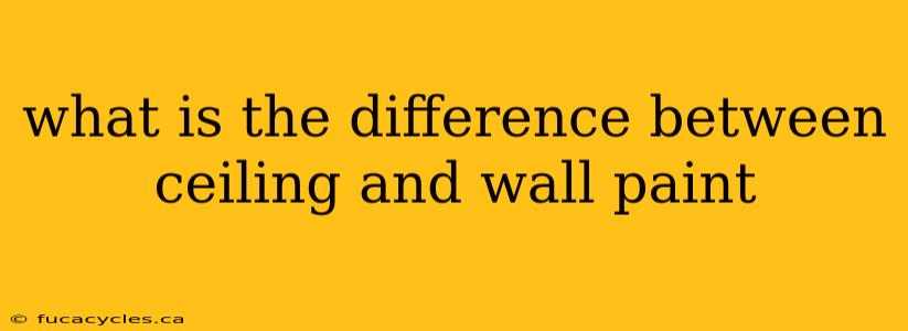 what is the difference between ceiling and wall paint