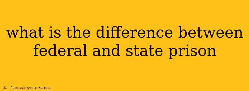 what is the difference between federal and state prison