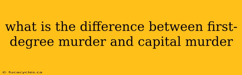 what is the difference between first-degree murder and capital murder