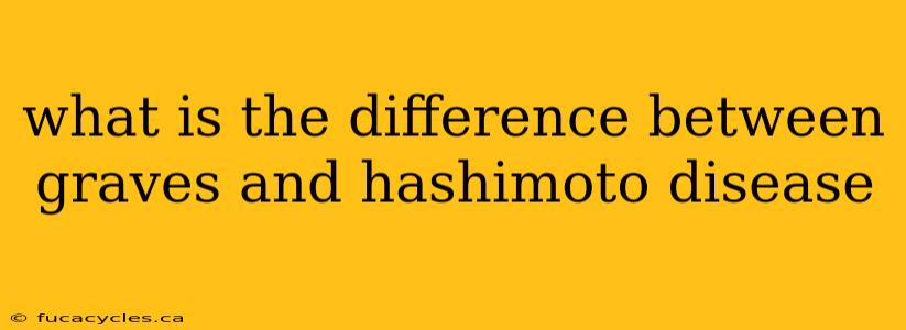 what is the difference between graves and hashimoto disease