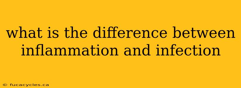 what is the difference between inflammation and infection