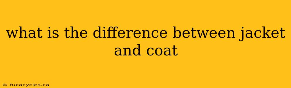 what is the difference between jacket and coat