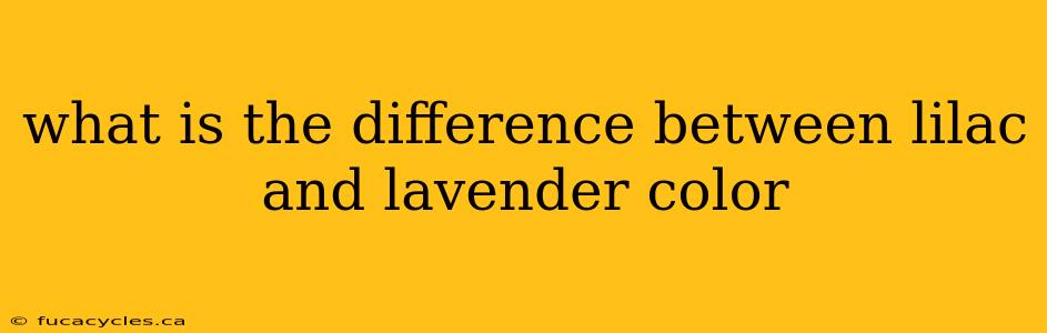 what is the difference between lilac and lavender color