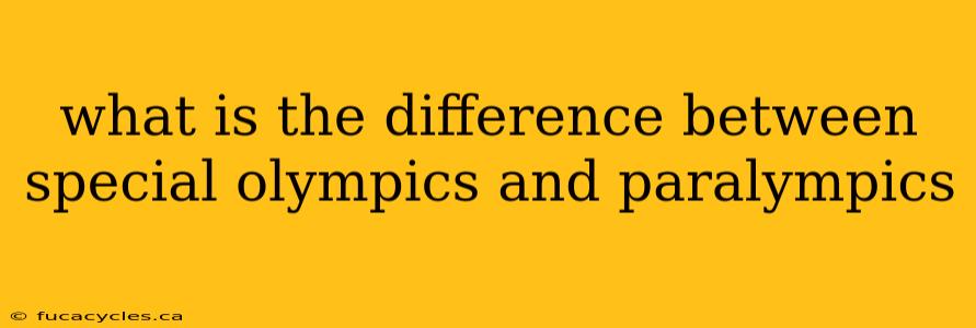 what is the difference between special olympics and paralympics