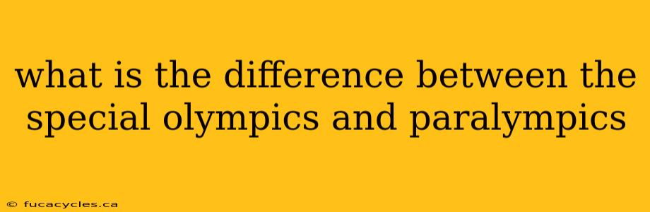 what is the difference between the special olympics and paralympics