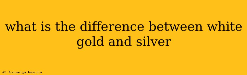 what is the difference between white gold and silver