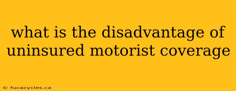 what is the disadvantage of uninsured motorist coverage