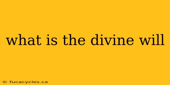 what is the divine will