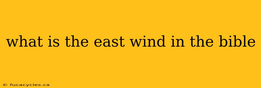 what is the east wind in the bible